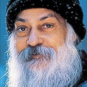 Meet your Posher, Darren